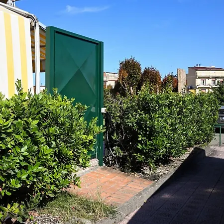 Il Giardino Di Morris *