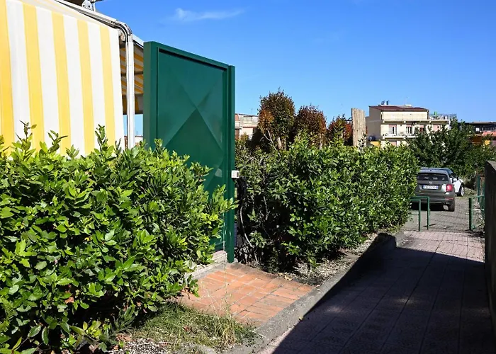 Il Giardino Di Morris *