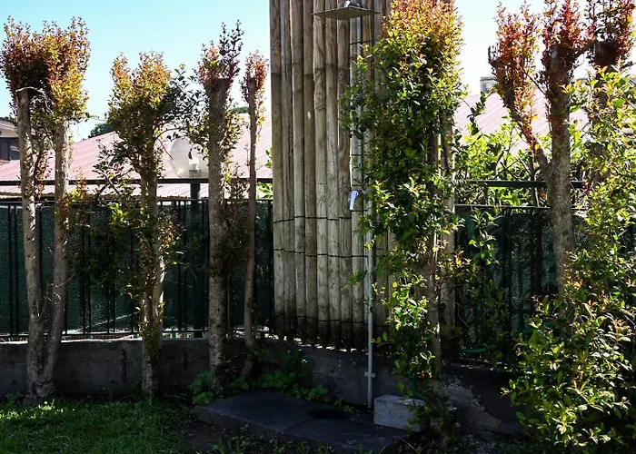 Il Giardino Di Morris